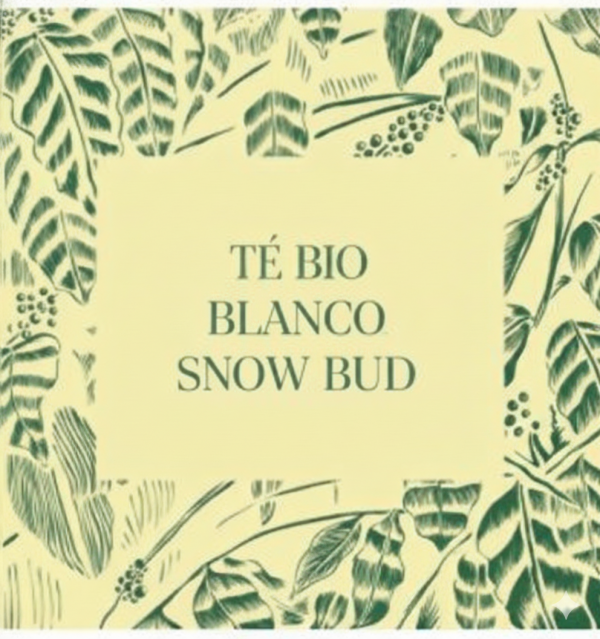 Te Blanco Snow Bud