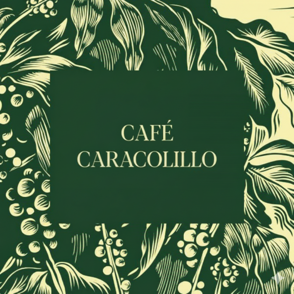 Café caracolillo