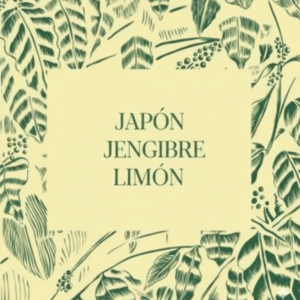 Te Bio Japon Jengibre Limon