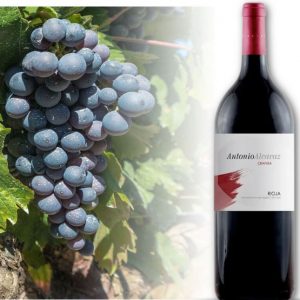 Antonio Alcaraz Crianza 1.5