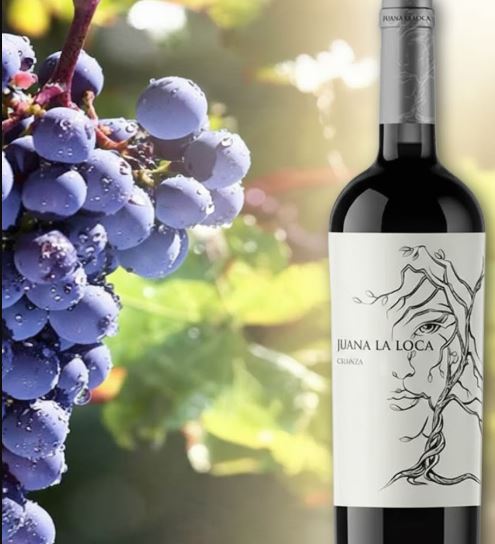 Vino Juana la Loca 1 juana la loca